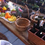 IMG_0386_resize